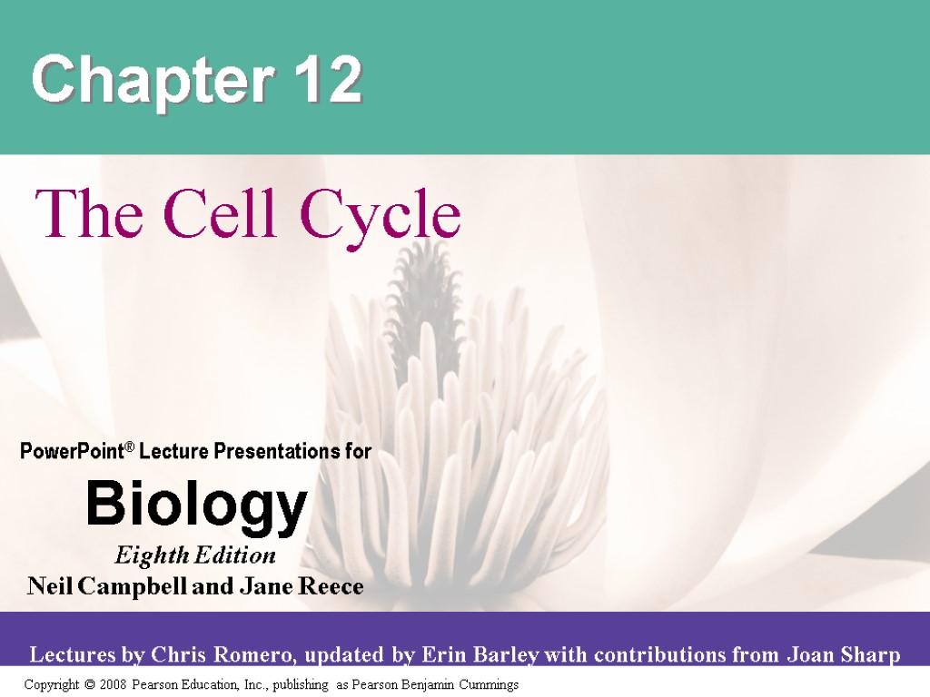 Chapter 12 The Cell Cycle